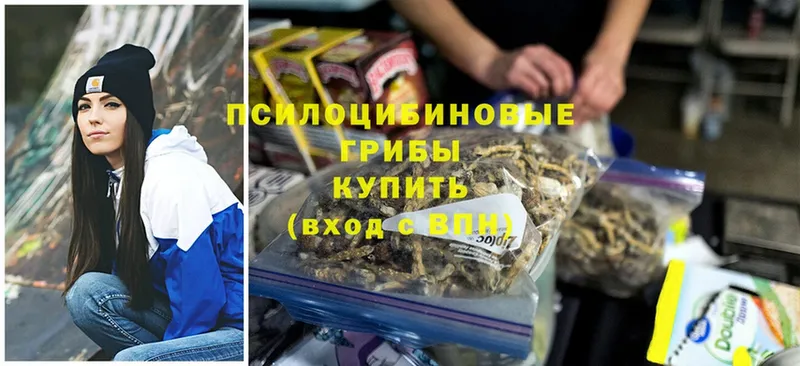 Псилоцибиновые грибы Cubensis Железногорск-Илимский